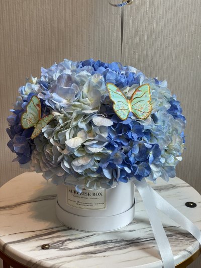 Shades of blue Hydrangea Box S