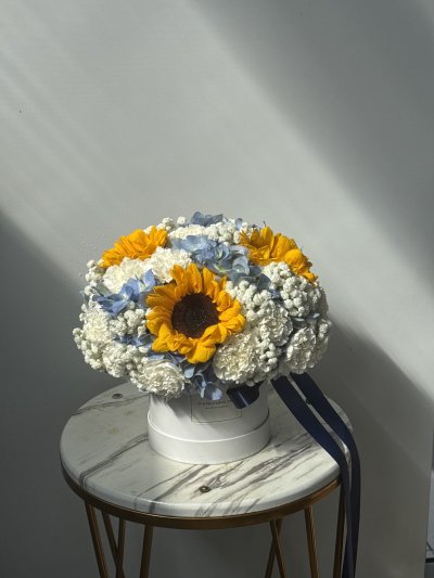 Sunny Blue Box