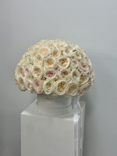 100 English roses box