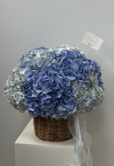 Blue Hydrangea Basket L