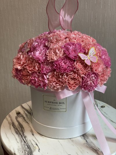 Pink Carnation Box XL