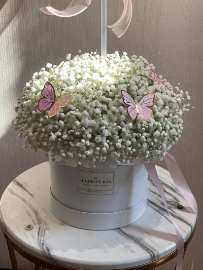 Snowflake Gypso Box L