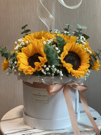 Sunflower Meadow Box XL