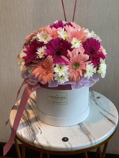 Gerbera Daisies Mix Box L