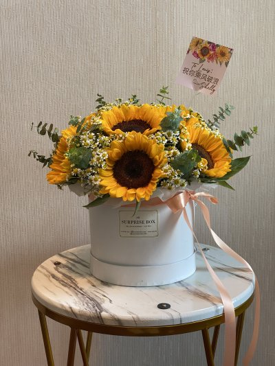 Sunflower Meadow Box XL
