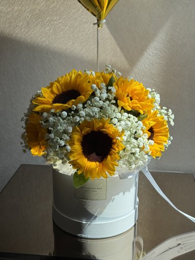 Sunflower x Gypso Box S