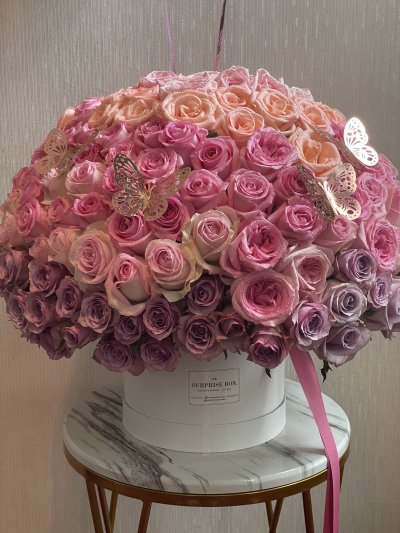 Ombre Rose Box 350 Roses