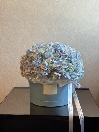 Blue Hydrangea Box L