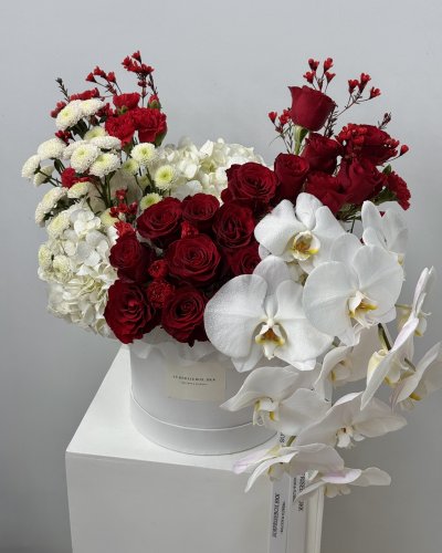 Velvet Orchid Bloom Box