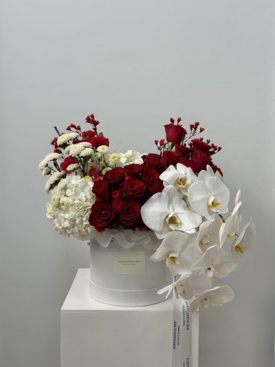 Velvet Orchid Bloom Box