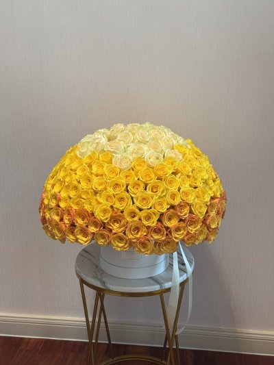 200 Ombre Sunset Box