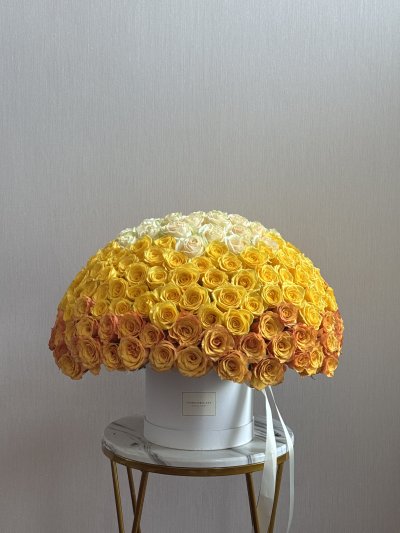 200 Ombre Sunset Box