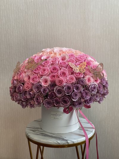 Ombre Box 250 Roses