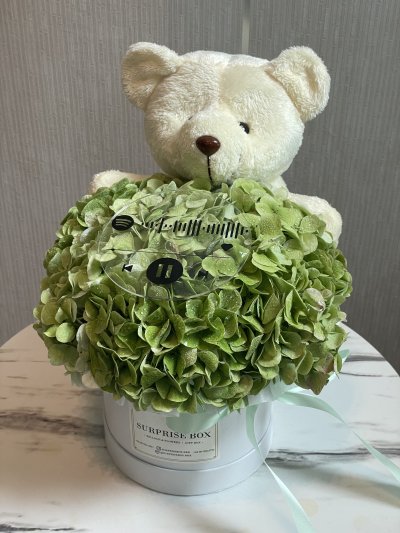 Green Hydrangea Box S