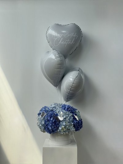 Blue Sky Hydrangea Box L