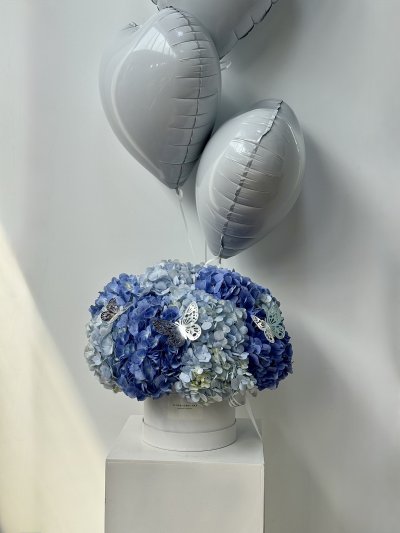Blue Sky Hydrangea Box L