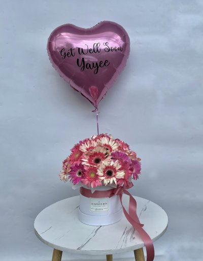 Gerbera Daisies Box S