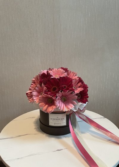 Gerbera Daisies Box S