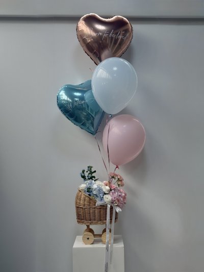 Pink Blue Baby Cradle