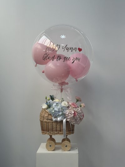 Pink Blue Baby Cradle