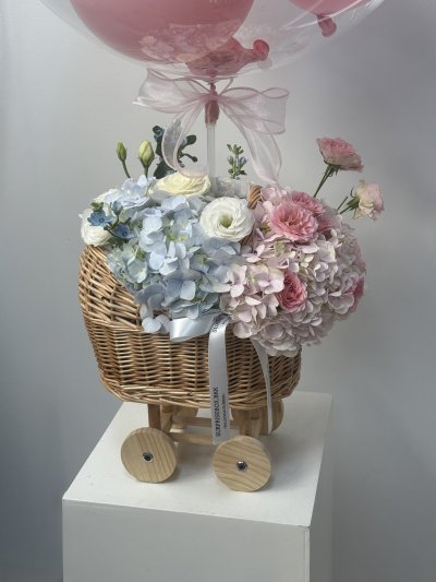 Pink Blue Baby Cradle