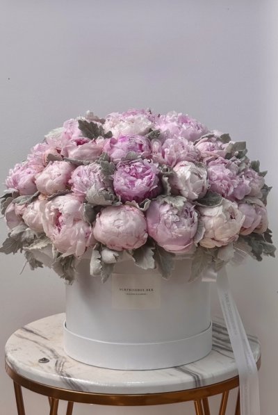 Peonies 50-Stem Box