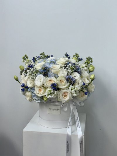 Blue Garden Box