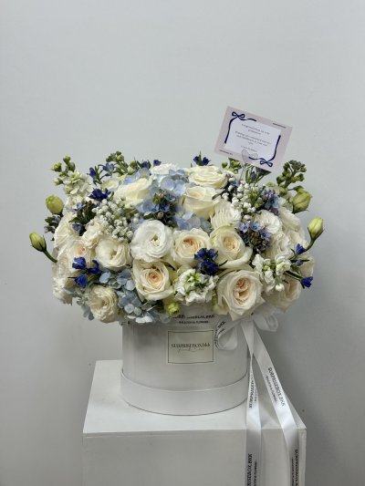Blue Garden Box