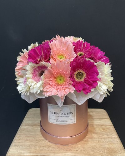 Gerbera Daisies Box S