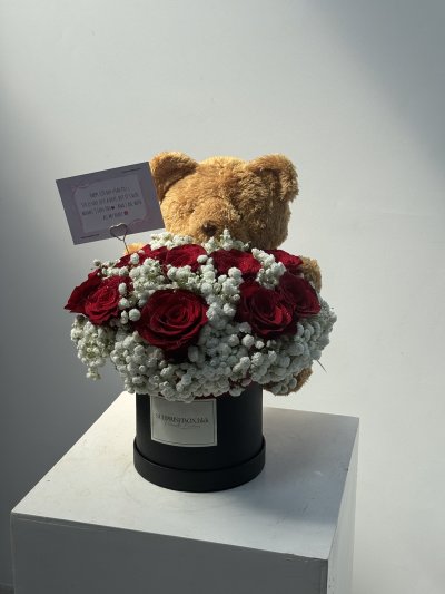 Red Velvet Teddy Box - S