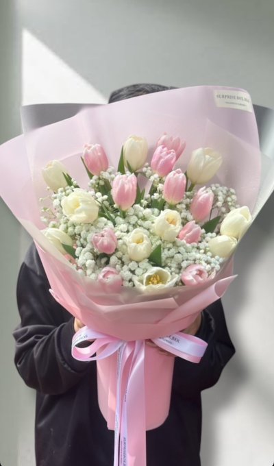 20 Blush Gypso Tulips