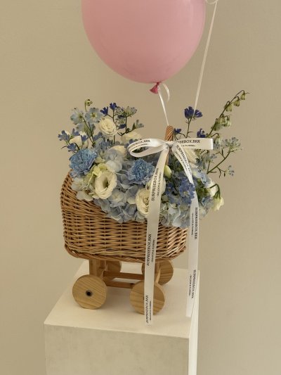 Blue Themed Baby Cradle