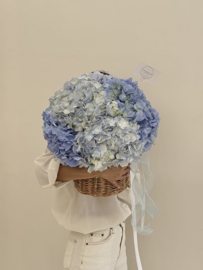 Baby Blue Hydrangea Basket