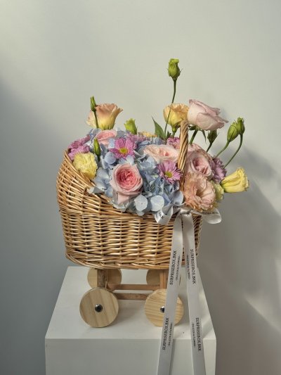 Pastel Dreamy Baby Cradle