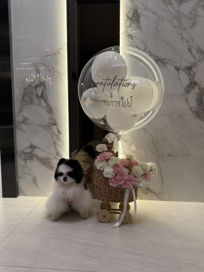 Baby cradle pink/white carnations