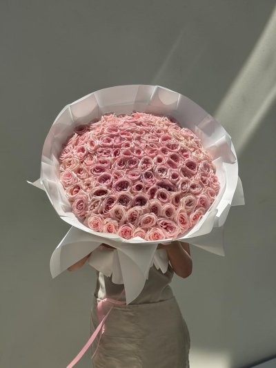100 Blush Pink Roses