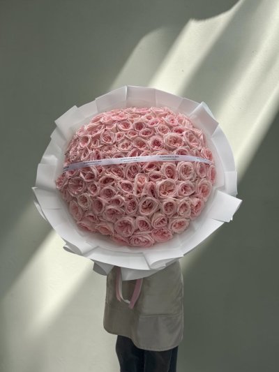 100 Blush Pink Roses