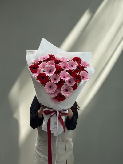 Mix Gerbera Daisies 40 Stems