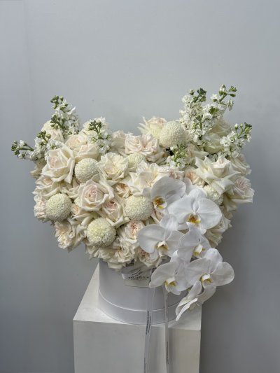 White Fresh Orchid Bloom Box