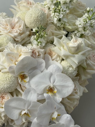 White Fresh Orchid Bloom Box
