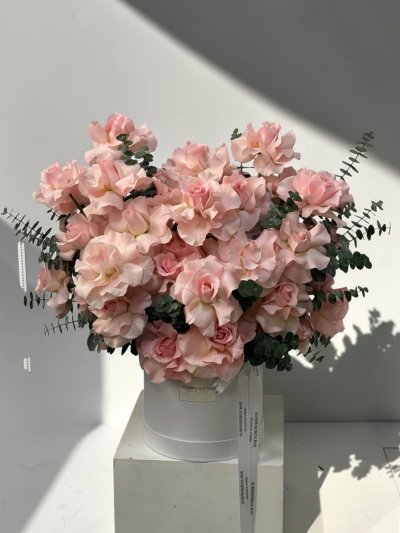 40 Hand-Flexed Pink Roses Premium Box XL