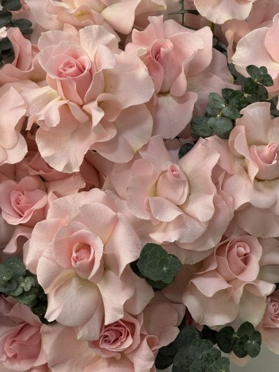40 Hand-Flexed Pink Roses Premium Box XL
