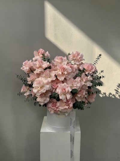 40 Hand-Flexed Pink Roses Premium Box XL