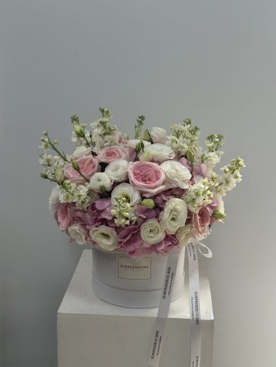 HydraRose Pink Box