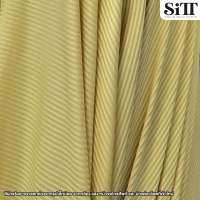 ผ้ายืด ร่องกลาง