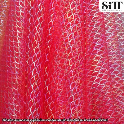 ผ้าตาข่ายลายเกล็ดปลาโฮโลแกรม