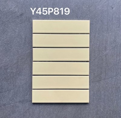 Y45P819 Strip Mosaic (Matt)