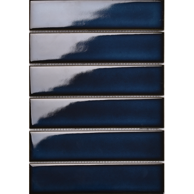 Y45PW07 Strip Mosaic (Glossy)