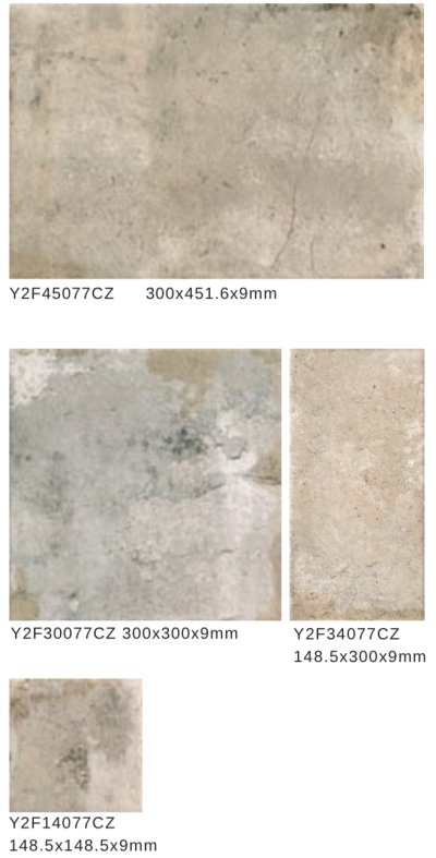 Y2F45077CZ-T6 Ruomu Series