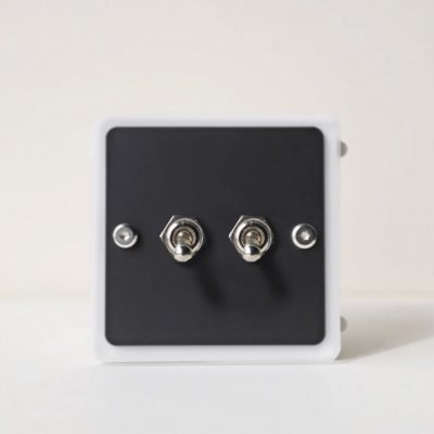 Vintage-style light switch